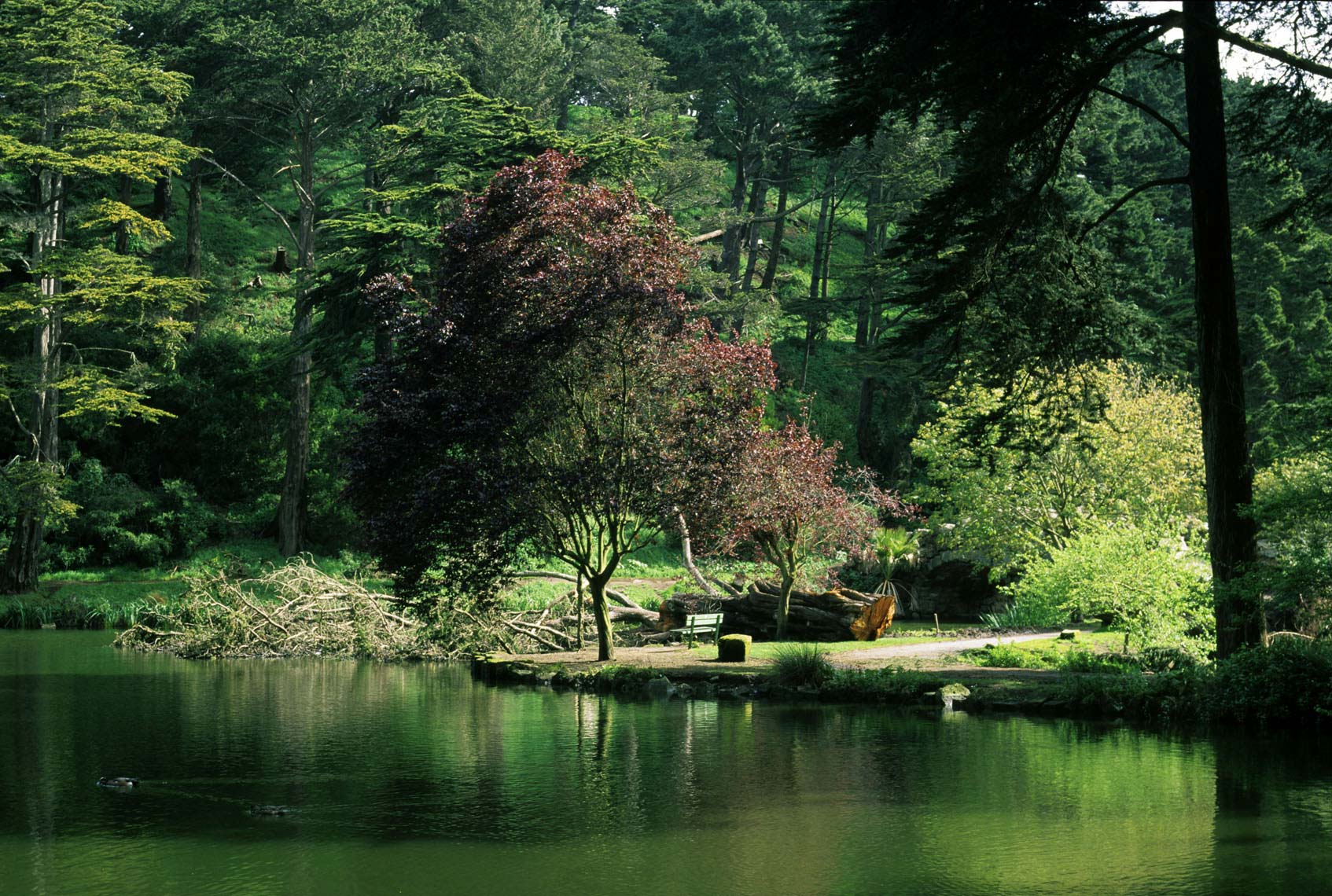 019GoldenGatePark