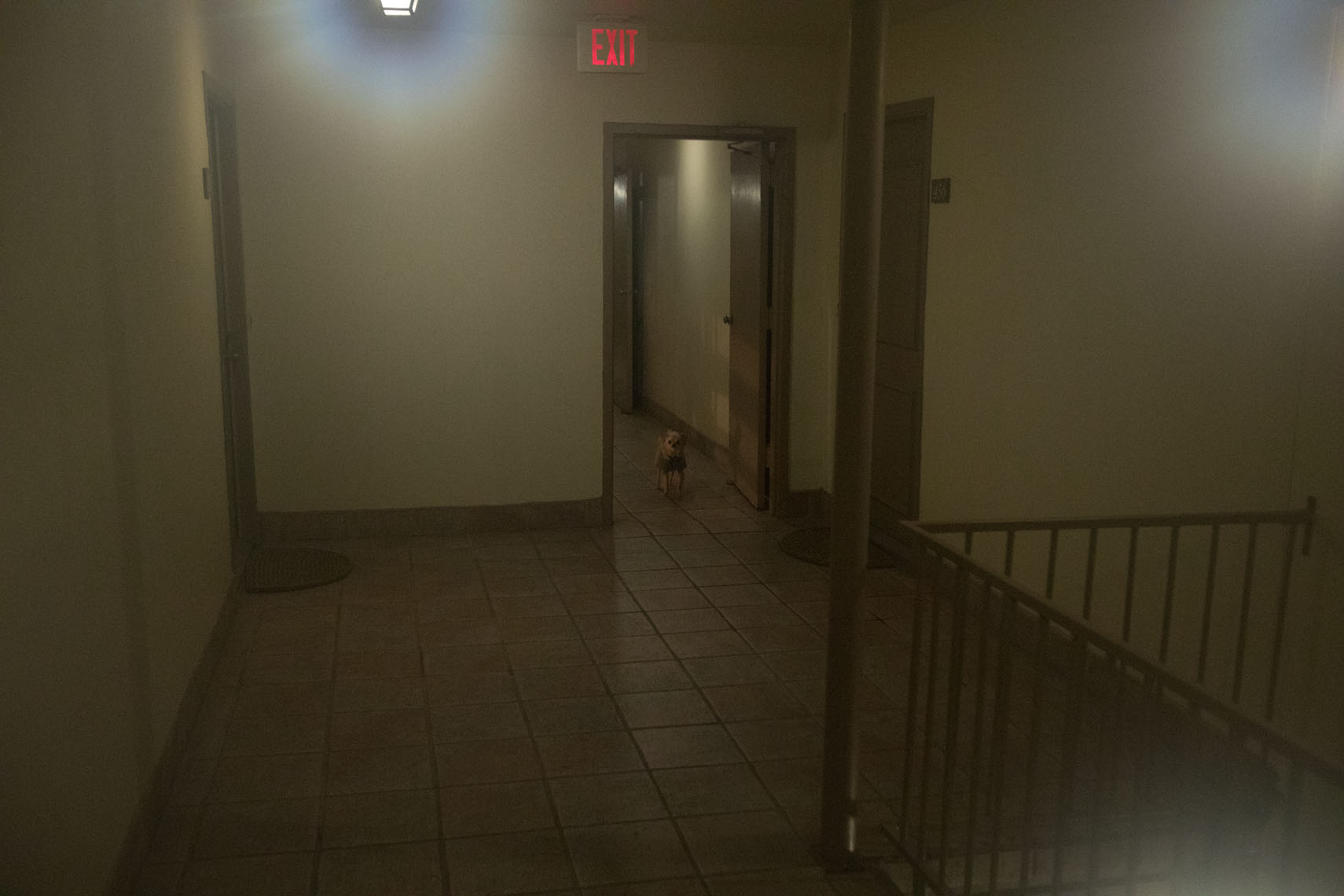 Creole_Apartments_071